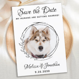 Save The Date Mes humains se marient Mariage animal de compagnie