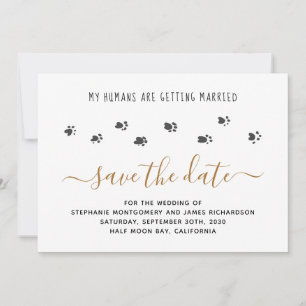 Save The Date Mes humains se marient Mariage de compagnie person