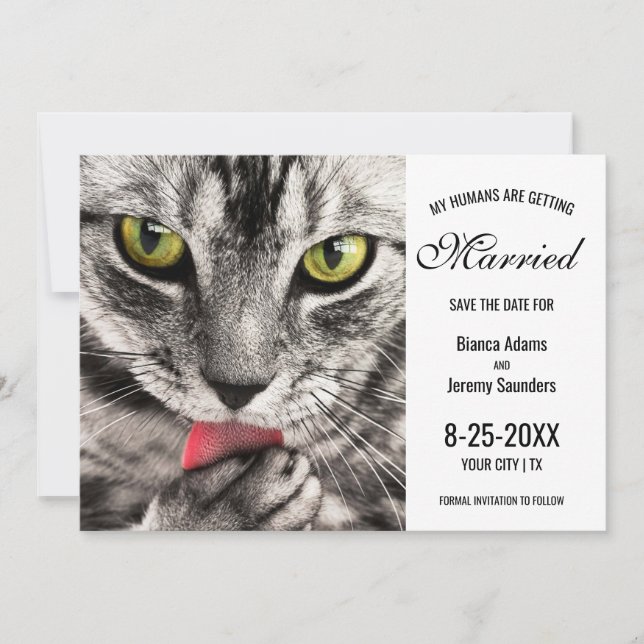 Save The Date Mes humains se marient Mariage photo de chat (Devant)