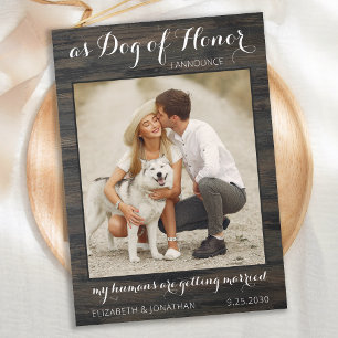 Save The Date Mes humains se marient Mariage Photo Dog