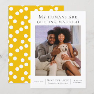 Save The Date Mes Mariages se marient Personnellement