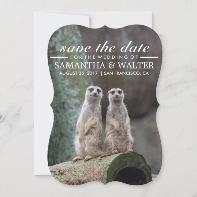Save The Date Modifier Ce Drôle Meerkats Enregistrer La Date (Devant)