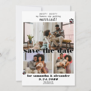 Save The Date Mon humain se marie Collage photo mariage de chien