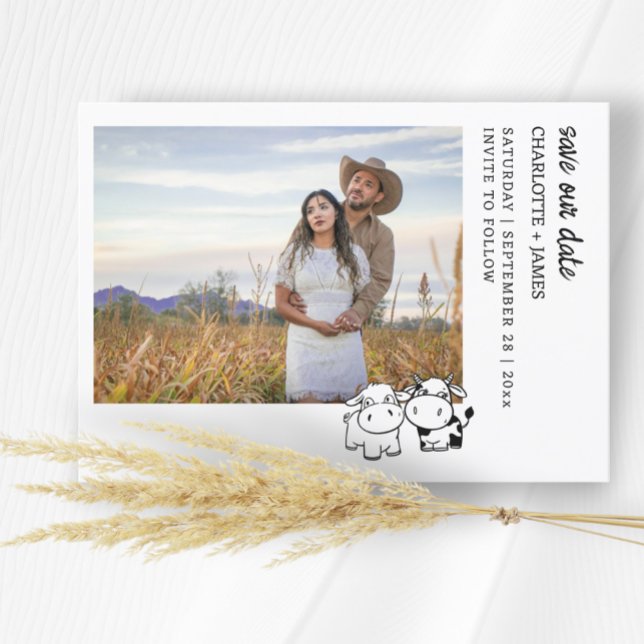 Save The Date Nous Dirons Que Je Moo Pays Vache Thème (We Will Say I Moo Country Cow Themed Save The Dates from Ricaso. Whimsical cow couple fun cards)