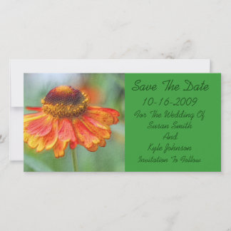 Save The Date Orange Daisy Mariage Floral Enregistrer La Date