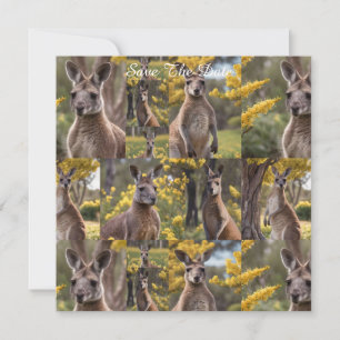 Save The Date Outback Beauty : Kangaroo Et Wattle Photo Collage