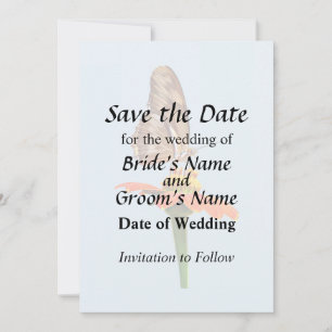 Save The Date Papillon Julia sur Zinnia III