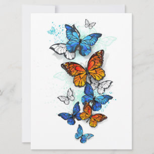 Save The Date Papillons volants Morpho et Monarch
