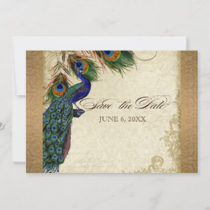 Save The Date Peacock & Feathers Vintage Gold Look Damask Swirl