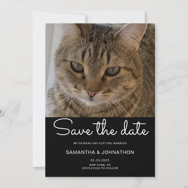 Save The Date Photo de chat de mariage  (Devant)