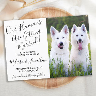 Save The Date Photo moderne Chiens personnalisés Photo Mariage a