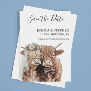 Save The Date Portraits aquarelle de vaches des Highlands pour m