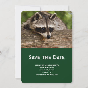 Save The Date Raccoon mignon reposant sur un journal