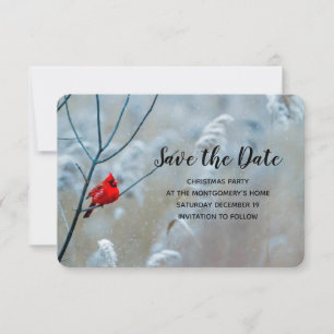 Save The Date Red Cardinal dans Winter Nature Photo de Christmas