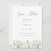 Romarin d'olivier rustique