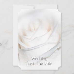 Save The Date Rose blanche Mariage personnalisé Enregistrer la d