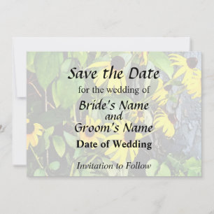 Save The Date Rudbeckias Près d'un Mur de Pierre