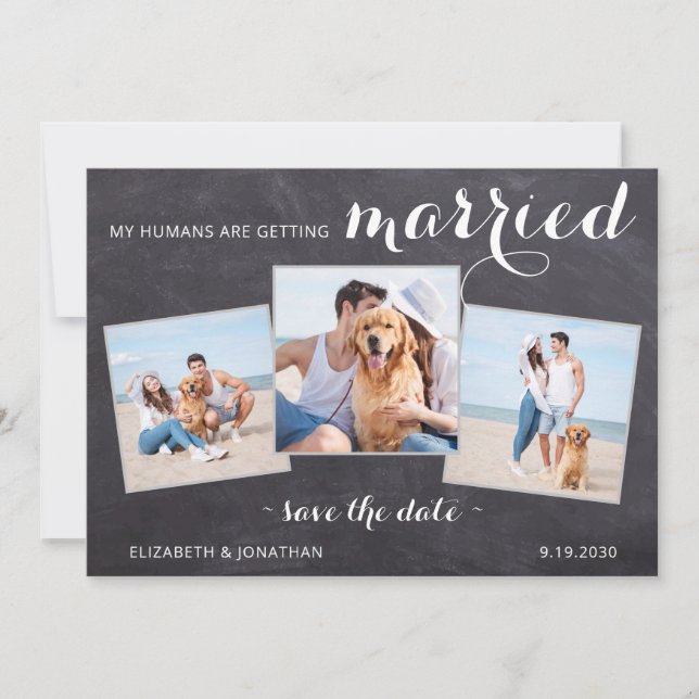 Save The Date Rustique Mariage de chien de compagnie personnalis (Devant)