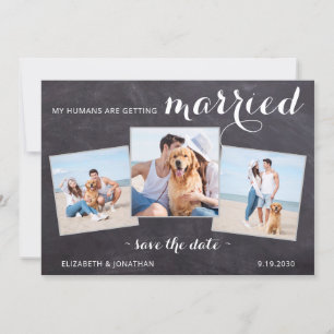 Save The Date Rustique Mariage de chien de compagnie personnalis