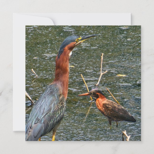 Save The Date Sac réutilisable pour épicerie Green Heron (Devant)