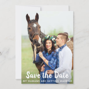 Save The Date Simple Photo Personnalisée Mariage de chevaux pour