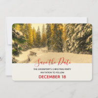 Snowy Winter Path with Pine Trees Noël