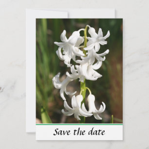 Save The Date Spring White Bell Flora Flat Flat Enregistrer la c