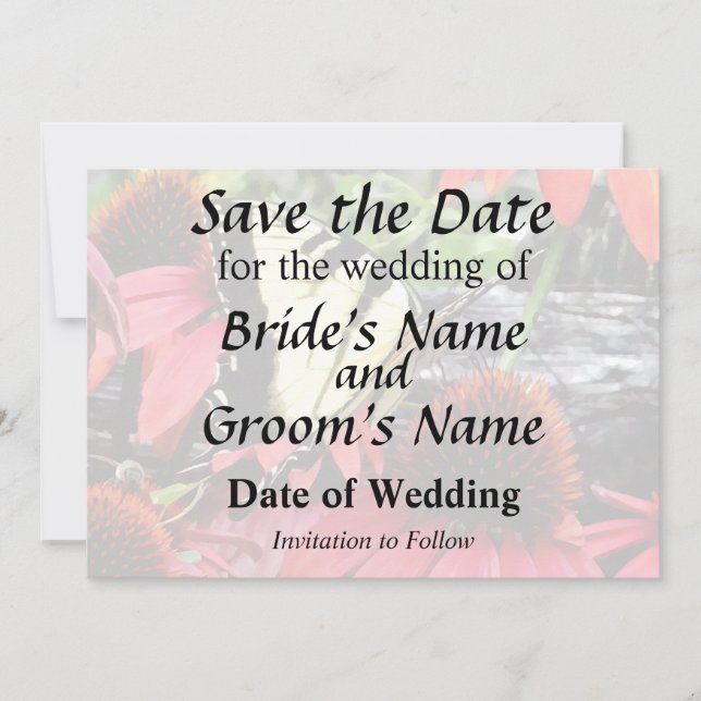 Save The Date Swallowtail on Red Coneflower (Devant)