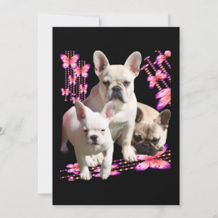 Save The Date Trois bouledogues français Merci Bouledogue França