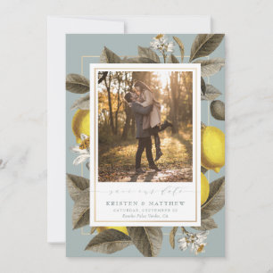 Save The Date Vintage citron vert Mariage bleu Dusty Photo