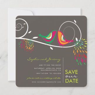 Save The Date Whimsical Colorful Bissers Birds Photo été