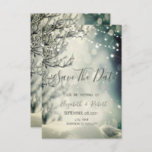 Save The Date Winter Wonderland Wedding Enregistrer La Date