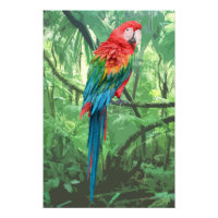 Scarlet Macaw Design Photo élargissement