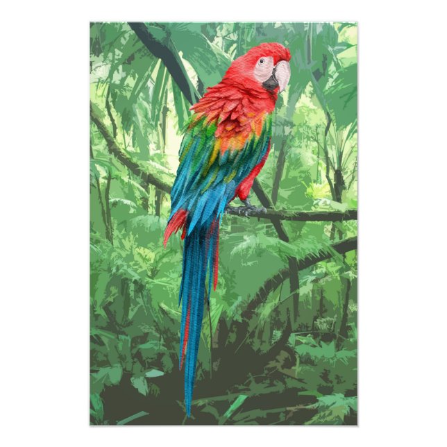 Scarlet Macaw Design Photo élargissement (Devant)