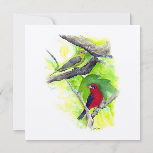 Scarlet Tanager Couple Art (Devant)