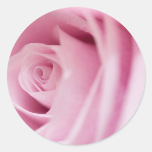 Sceau et autocollants Mariage rose rose