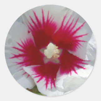 Scellé avec un STARBURST KISS ! Autocollants