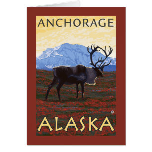 Scène Caribou - Anchorage, Alaska