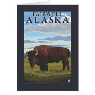 Scène de bison - Fairwell, Alaska