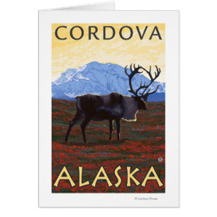 Scène de caribou - Cordova, Alaska
