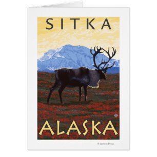 Scène de caribou - Sitka, Alaska