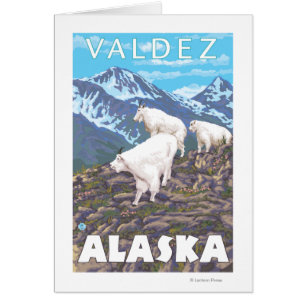 Scène de chèvres de montagne - Valdez, Alaska