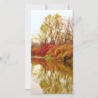 Scène de la rivière Fall Forest