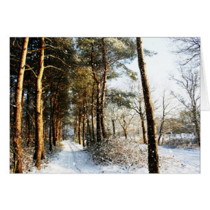 Scène de neige de la forêt gccnm