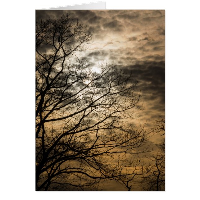 Scène de soleil nuageux (Devant)