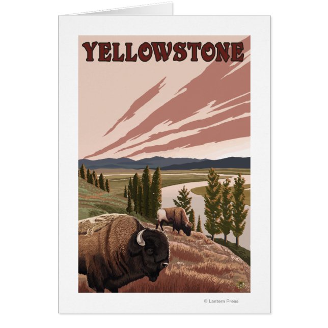 Scène de YellowstoneBison (Devant)