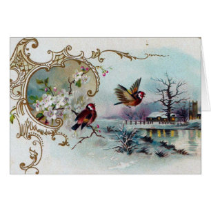 Scène d'oiseaux