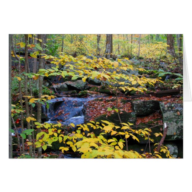 Scène forestière d'automne (Devant Horizontal)