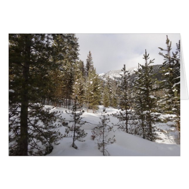 Scene hivernale de montagne neige au Montana (Devant Horizontal)