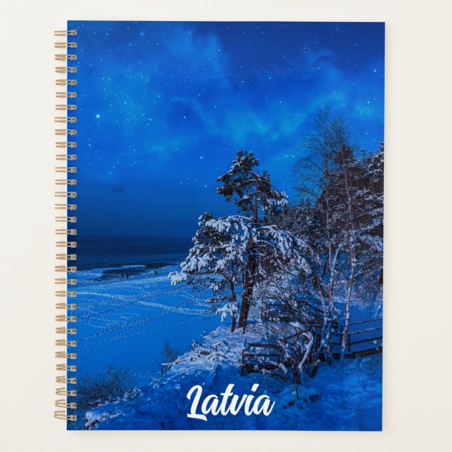 Scène hivernale nocturne avec pins enneigés (Devant)